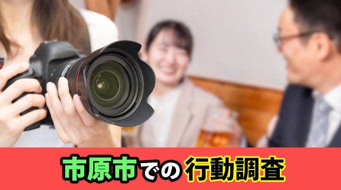 市原市での行動調査