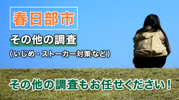その他の調査(いじめ・ストーカー対策など)、その他の調査もお任せください！